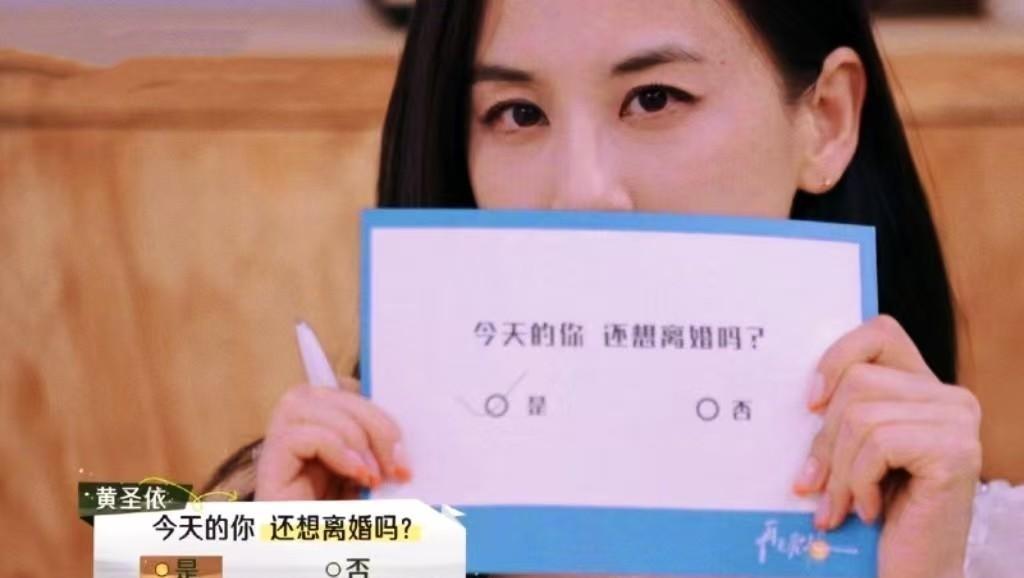 黃圣依和楊子吵架后再次選離婚