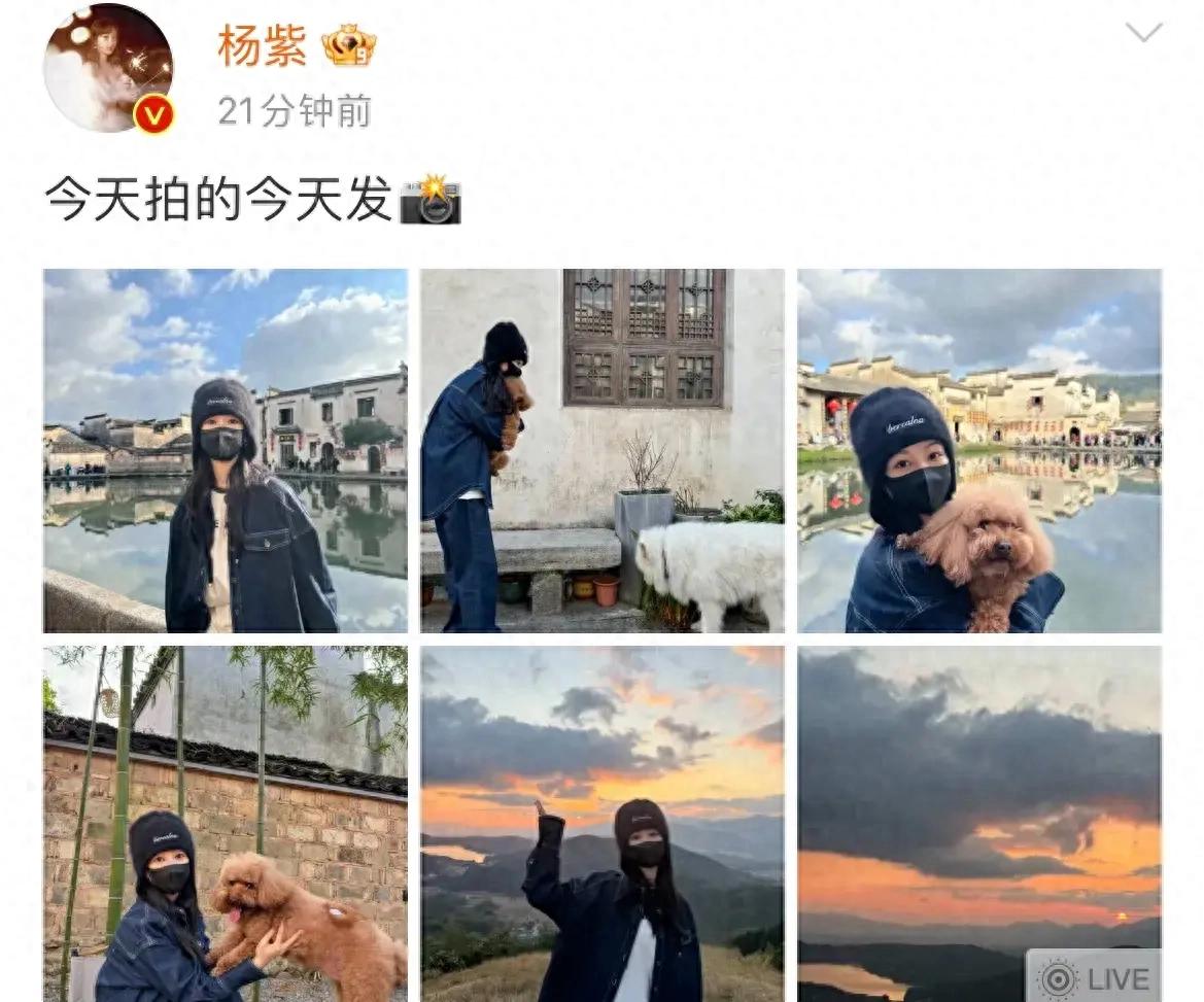 楊紫家業開機狀態