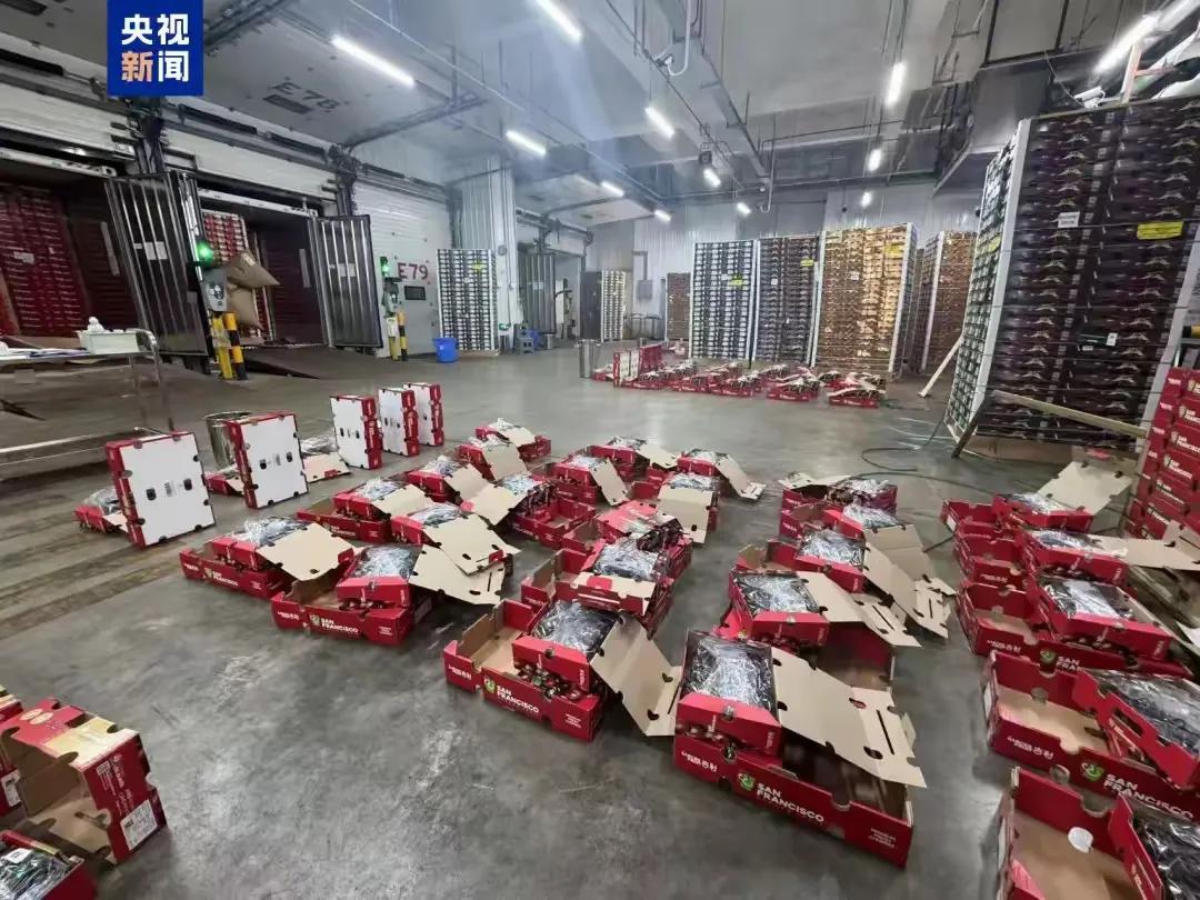 果中貴族“斷崖”降價 網友等不及了