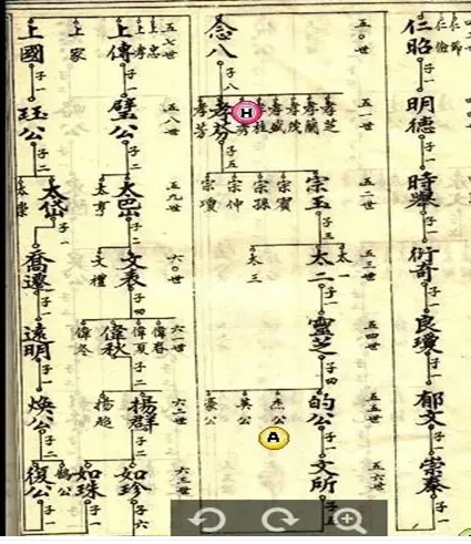 村里近1500人姓閃 還有人叫閃電鋸