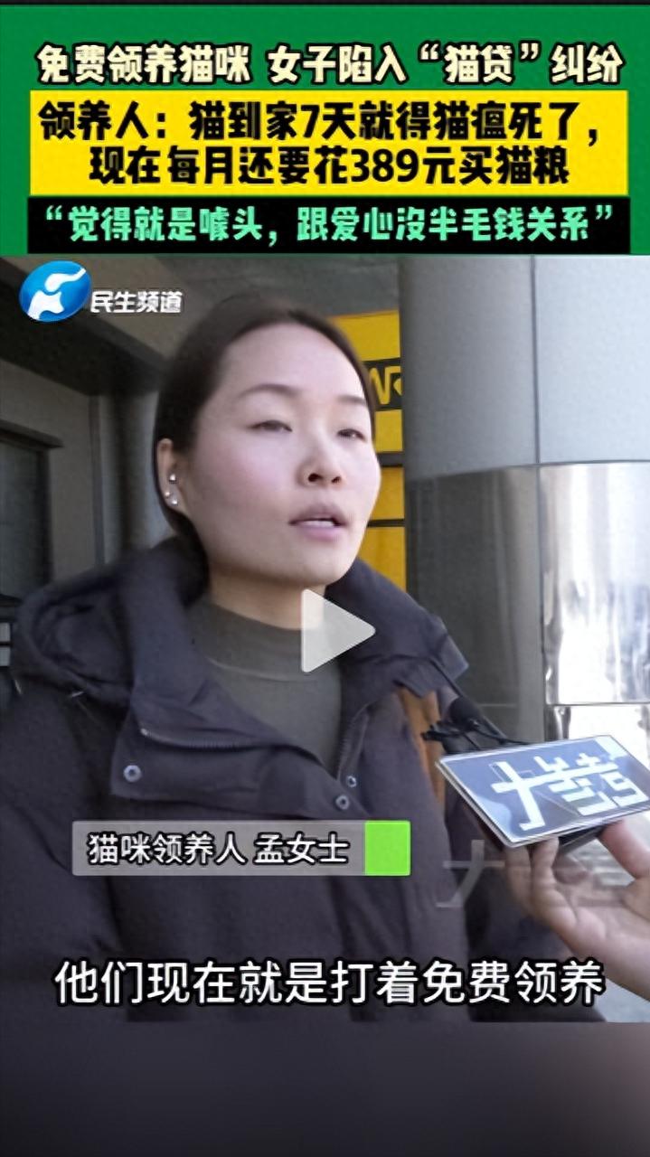 女子免費領養貓咪陷入“貓貸”糾紛