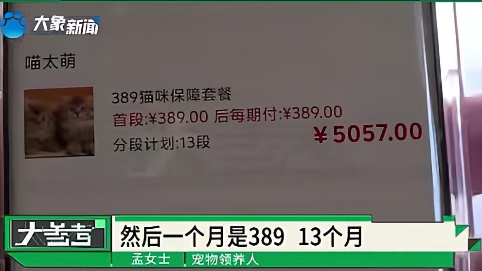 女子免費領養貓咪陷入“貓貸”糾紛