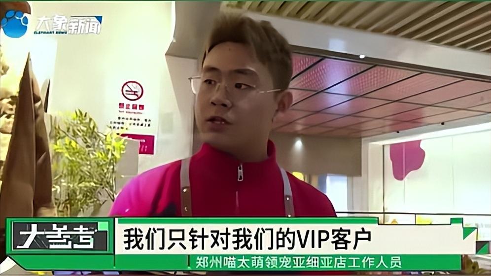 女子免費領養貓咪陷入“貓貸”糾紛