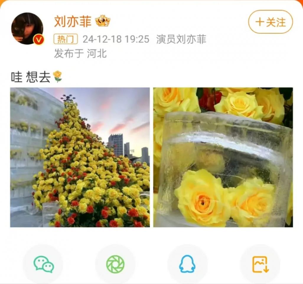 哈爾濱文旅回復(fù)劉亦菲