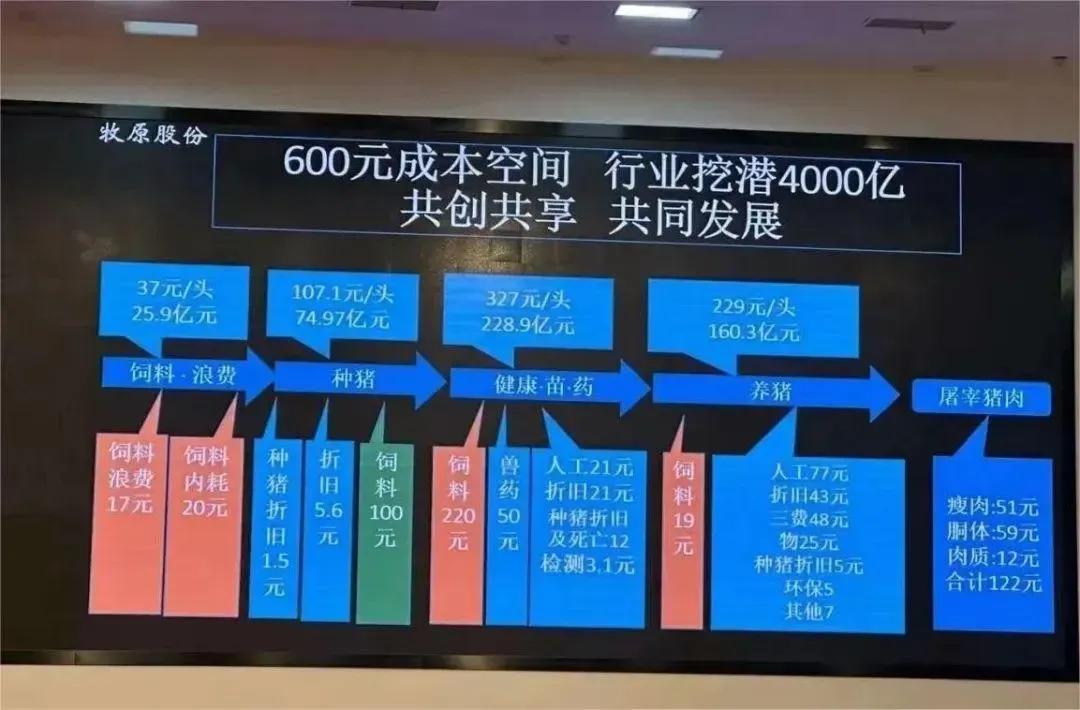 A股第一批發布2024年業績的公司,表現如何?