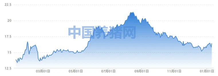 A股第一批發布2024年業績的公司,表現如何?