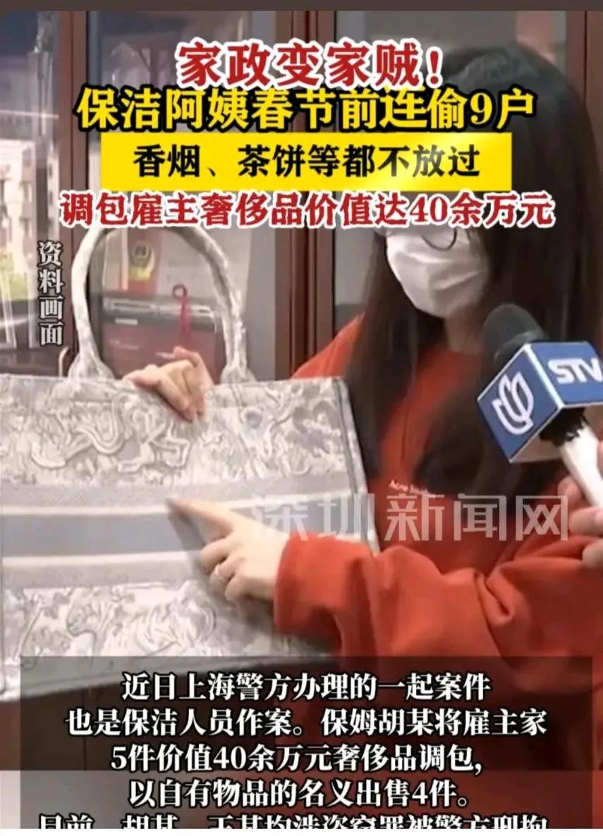 家政阿姨上崗3天偷走30萬元物品