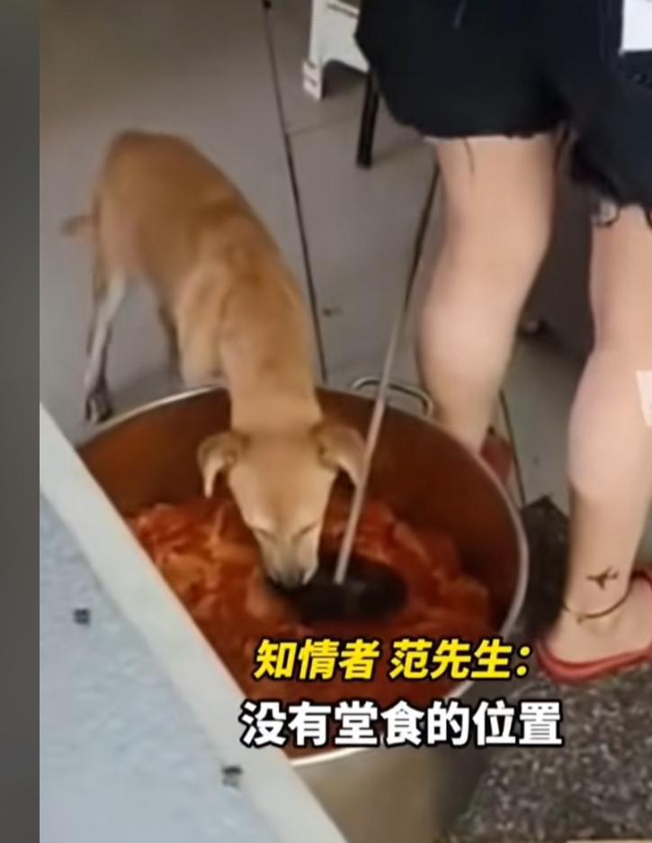 27歲男子精子畸形率高達98%