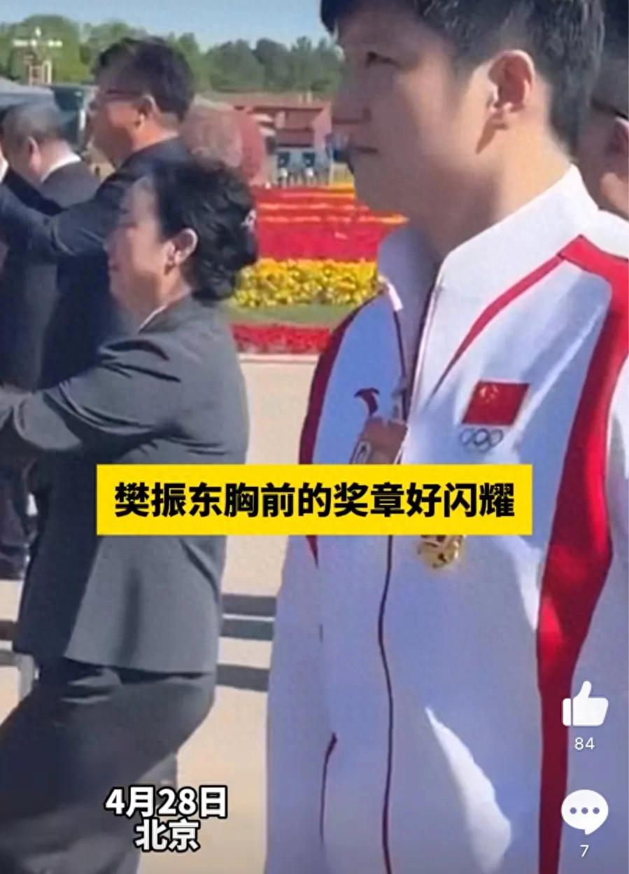 樊振東王曼昱盛李豪受表彰