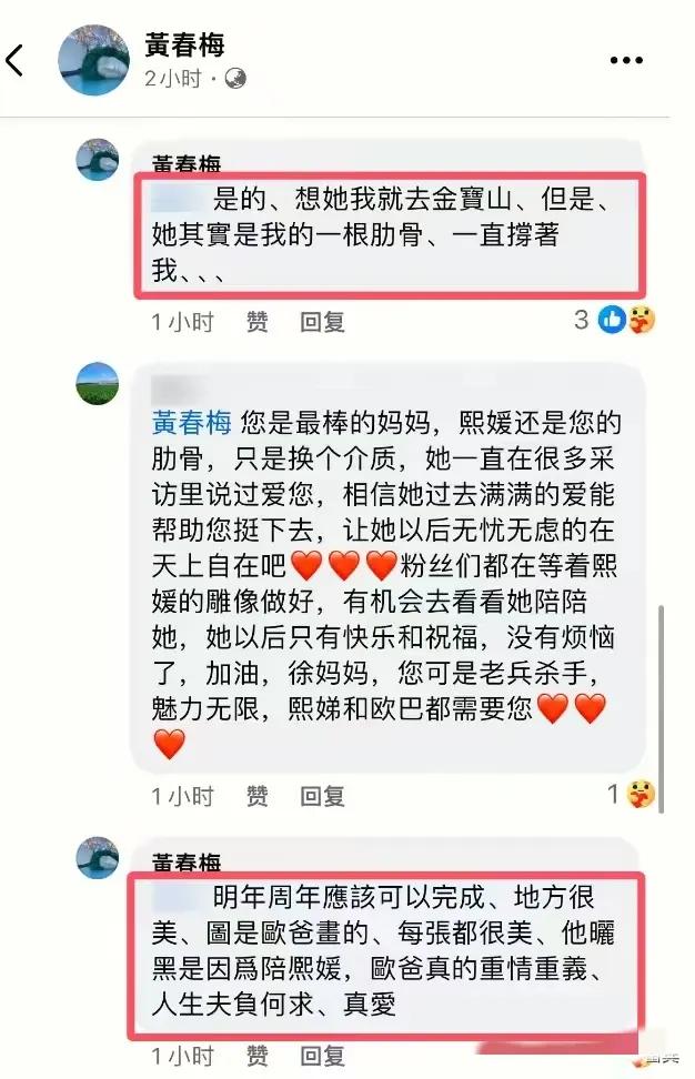 大S雕像圖紙是具俊曄畫(huà)的
