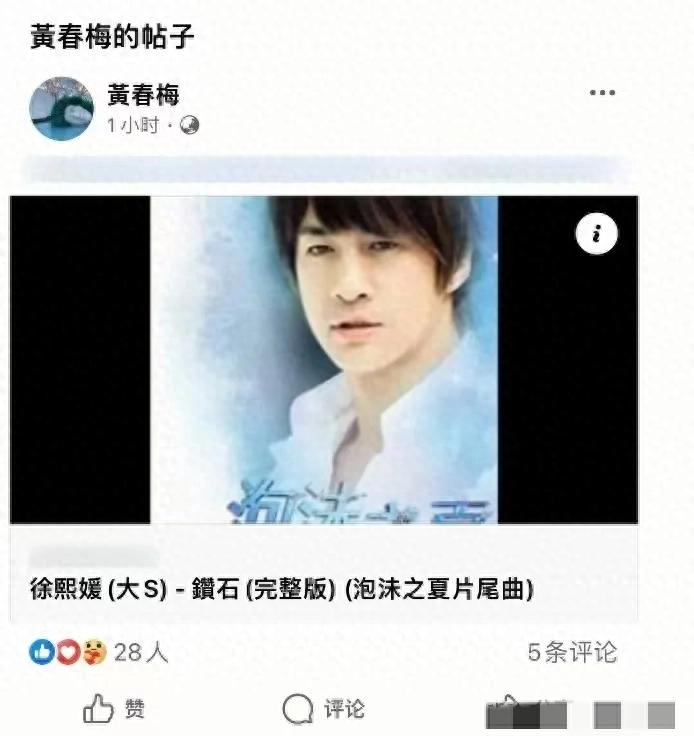 大S雕像圖紙是具俊曄畫(huà)的