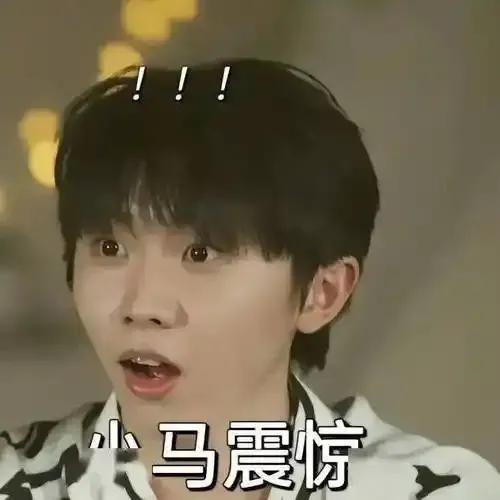 馬嘉祺賽前稱(chēng)預(yù)料到被淘汰